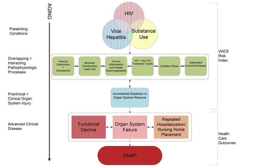 Frailty in HIV: Clarifying the concept