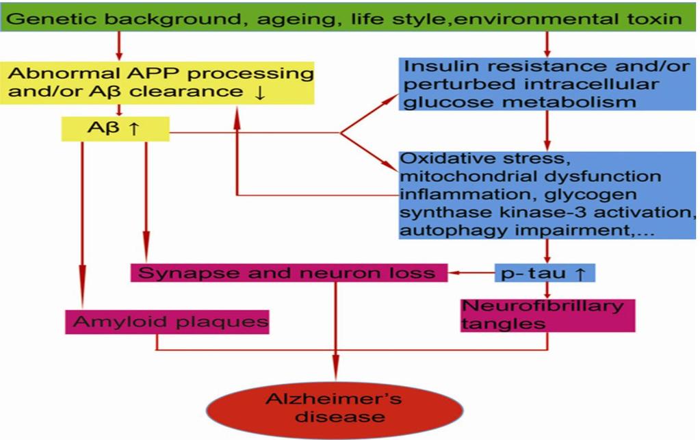 Figure 2. The diagram of multiple pathogenic cascades in Alzheimer s disease.