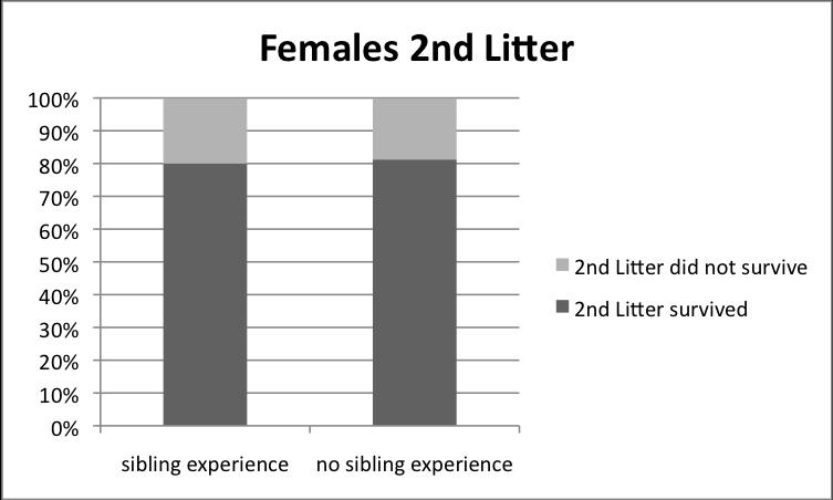 10 Males Of the 55 males in the study, 34 (62%) had sibling experience and 21 (38%) did not (Table 1).