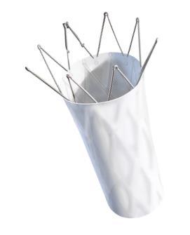 The high density expanded polytetrafluoroethylene (eptfe) graft cover used in the AFX stent graft evolved from a process improvement which
