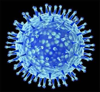 The Flu: How does it work and how can we prevent it? What is the Flu? Influenza, or flu, is a respiratory illness that is caused by a virus.