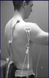 Deltoid Performed: low row, inf glide, lawnmower, & robbery exercises Moderate EMG