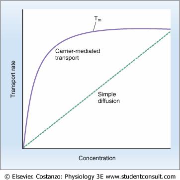 an ion gradient). Primary and secondary active transport illustrate uphill transport. B. Carrier- or non-carrier mediated Transport is further characterized by whether it is carrier-mediated or not.