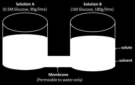 the pressure difference would force movement of water on to side B and a new equilibrium will be established (Figure-1B). Thus, Flow = Hydraulic conductivity x Pressure difference.