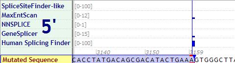 score (MaxEntScan, GeneSplicer and Human Splicing Finder) of the acceptor site of intron 21.
