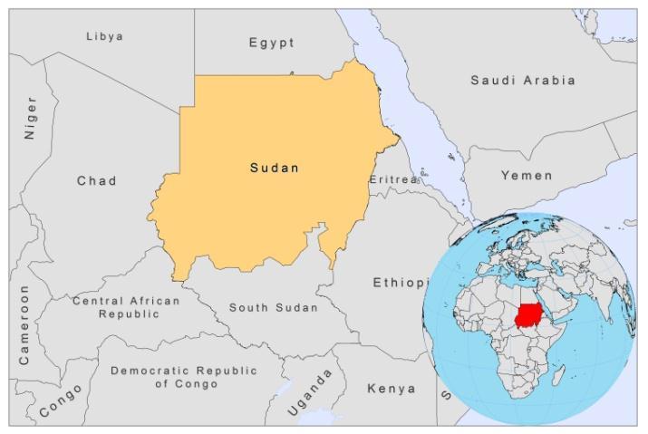 SUDAN BASIC COUNTRY DATA Total Population: 43,551,941 Population 0-14 years: 40% Rural population: 55% Population living under USD 1.