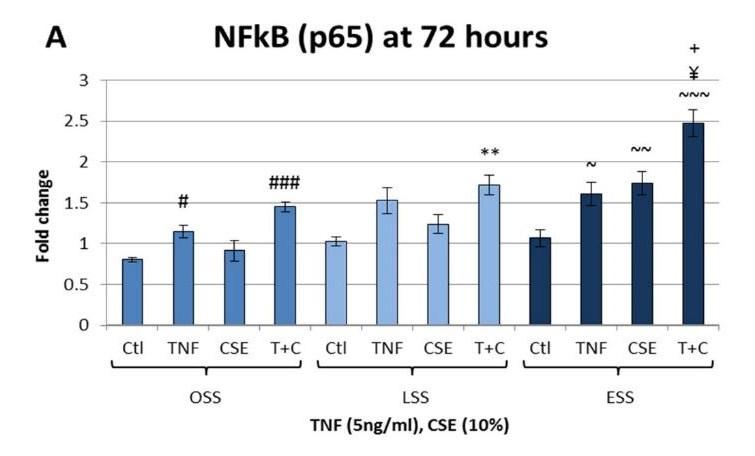 Supplementary figure 4. NFκB (P65) mrna expression in HCAECs exposed to TNFα, CSE or TNFα and CSE together (T+C) under OSS, LSS or ESS conditions for 72 hours.