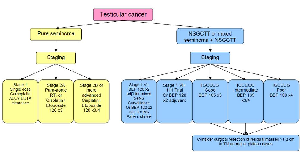 Figure 6. The stage specific treatment regimen for TGCTs at the University Hospital Birmingham Testicular Cancer Centre.