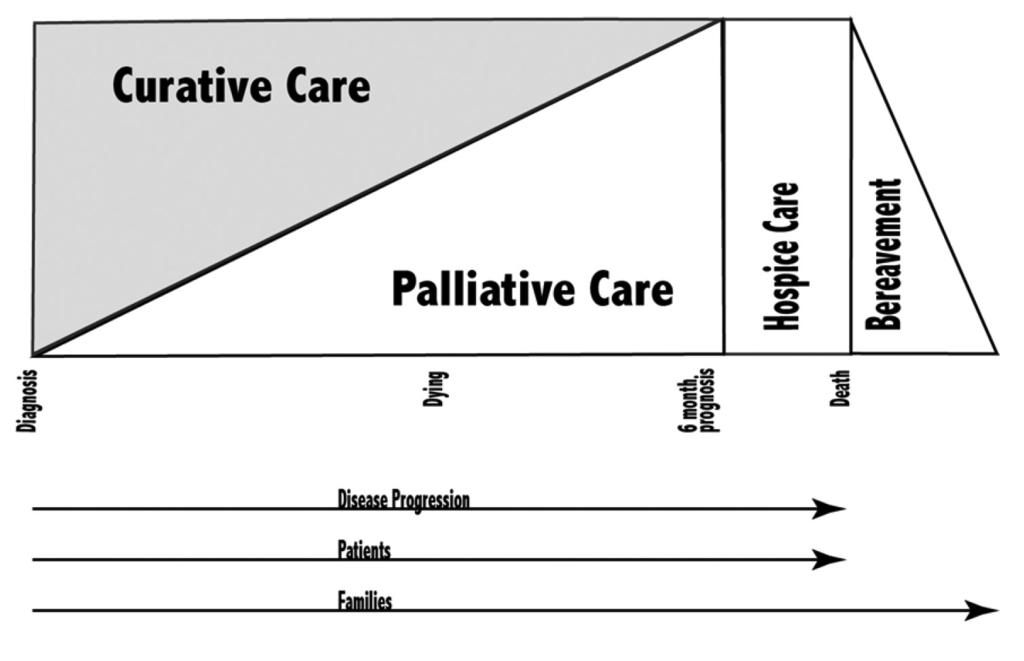 PALLIATIVE AND HOSPICE CARE Figure 1. Continuum of curative, palliative, supportive, and hospice care in disease trajectory.