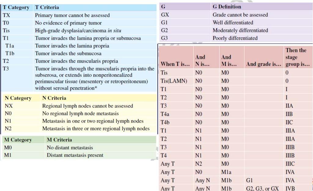 Color Coding AJCC & FIGO First rules of female genital tract cancer staging was published in 1929 by the League of Nations.