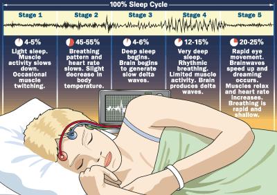 SLEEP STAGES Stage One This is experienced as falling to sleep and is a transition stage between wake and sleep.