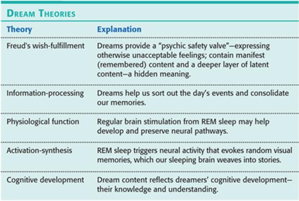 senses keener Sudden changes draws our attention Novel stimuli Critical Considerations: Does not address the neuroscience of dreams.