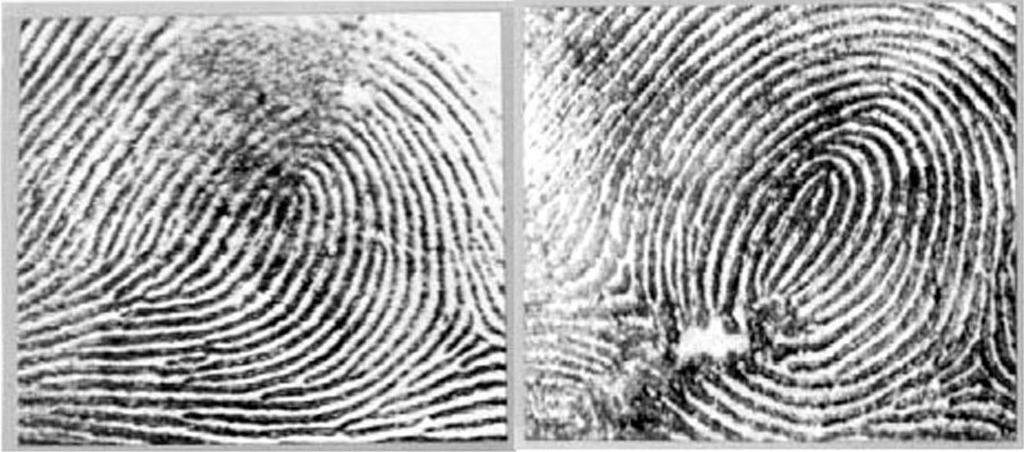 of changes are unlikely to produce erroneous identifications, but may reduce the amount of information available from a print impression and thus reduce the chances of identifying an individual.