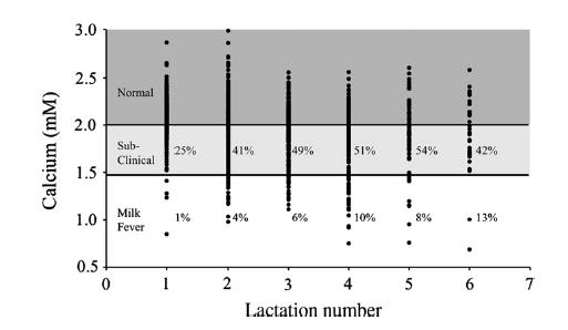 Prevalence of hypocalcemia by lactation