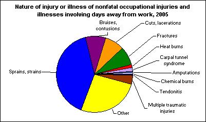 Strain and Sprain Rates The leading nature of injury and illness for every major industry sector in 2005 Accounted