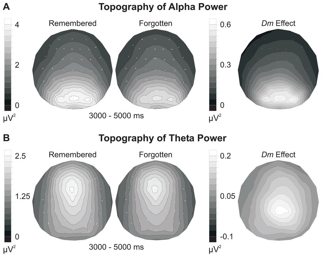 Khader et al. Page 10 Figure 2. Topographic maps of alpha (A) and theta (B) power for remembered and forgotten stimuli, as well as the remembered-forgotten difference maps (Dm effects).