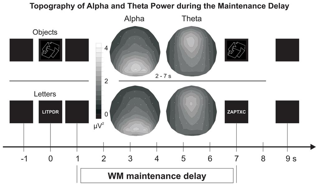 Khader et al. Page 9 Figure 1. Trial timing of the delayed matching-to-sample-task, in which either objects or letter strings had to be maintained throughout the delay period.