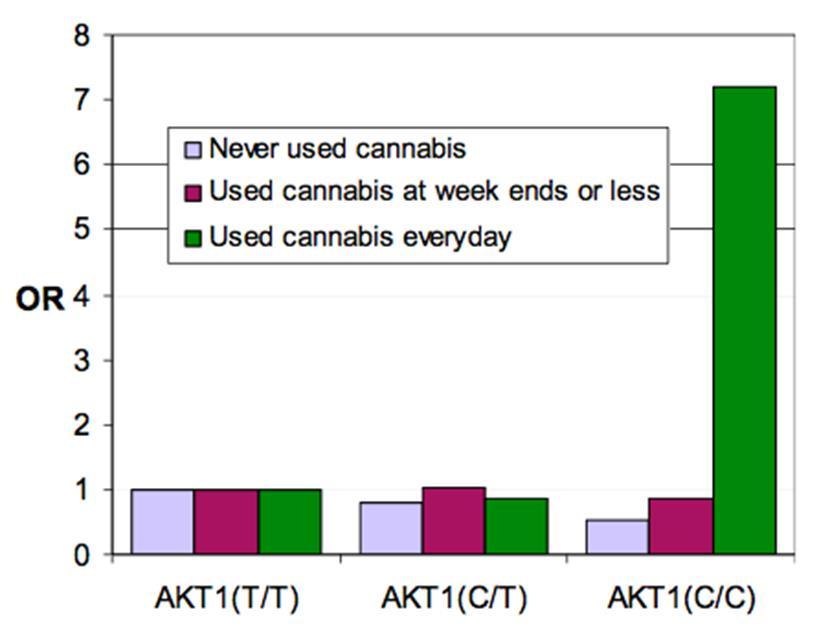 effects of marijuana
