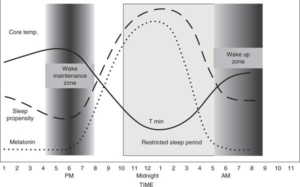 Click to view larger Fig. 28.3 The timing of typical sleep for advanced sleep phase disorder in this example between about 10 p.m. and awakening stimulated by the start of a phase advanced wake up zone at about 4 a.