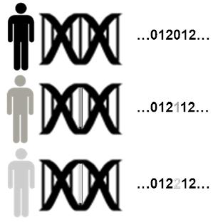 GWAS Genome-Wide