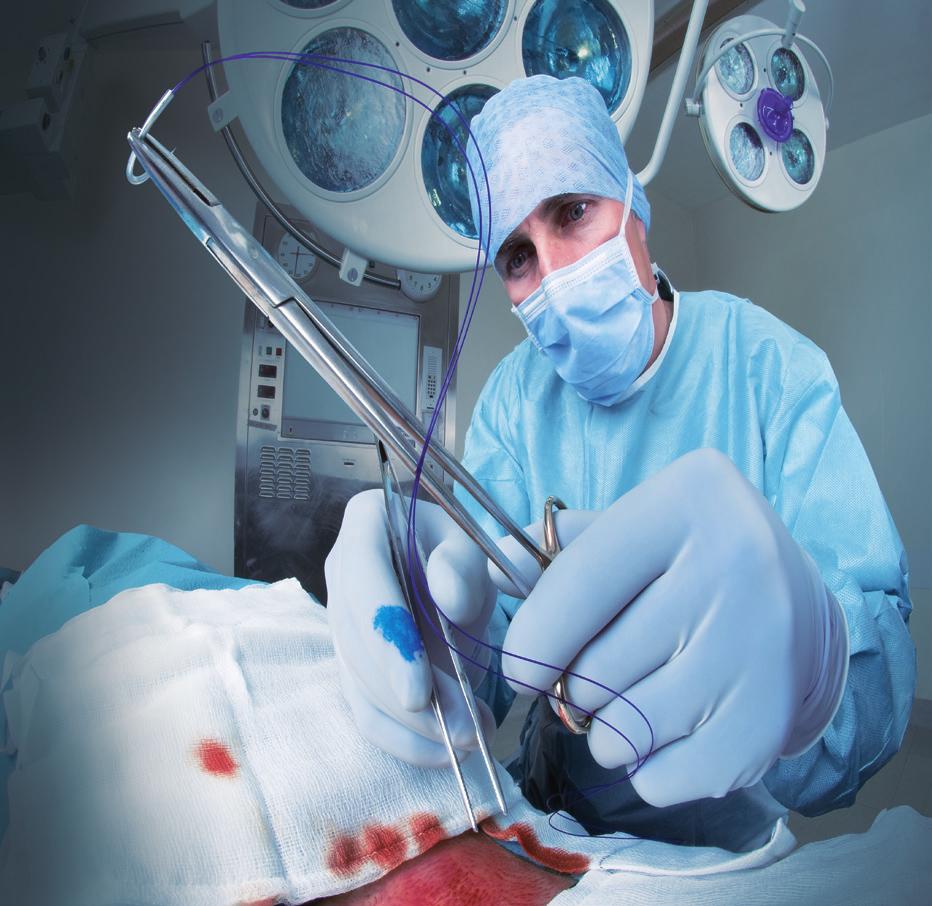 94% of surgeons rated the comfort of Biogel PI synthetic gloves as good or better than Biogel Latex 15 Operating Ro