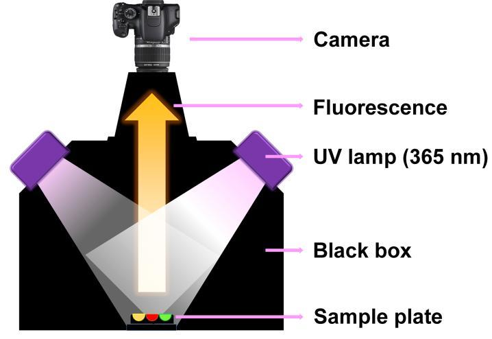 Diagram of Imaging Black Box and Hyper-Throughput Screening (a) (b) SpectraMax M2 Spectrometer Black Box Figure S1.