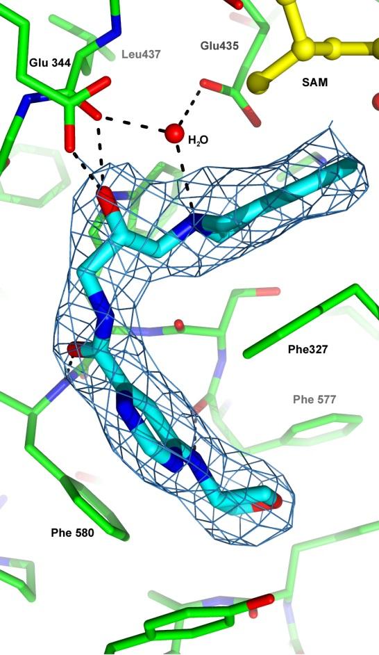 Pipeline: First-in-Class PRMT5 Inhibitor for MCL! Novel NCE! Unique Binding Mode! Potent and Selective for PRMT5!