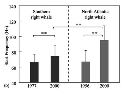 Atlantic right whale call duration increased slightly