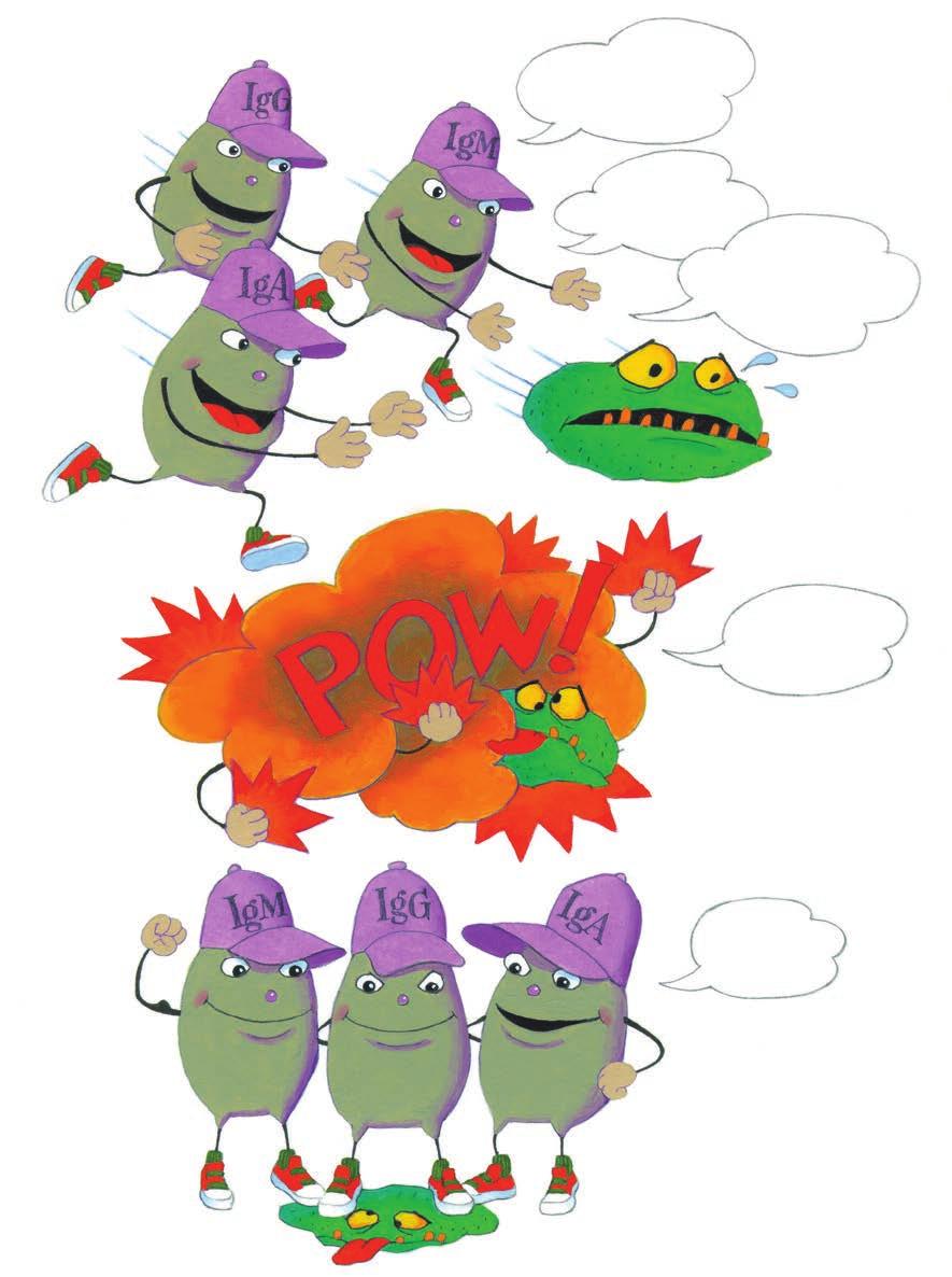 Sometimes the Igs help each other gang up on germs. Let s get him! I ll help you!