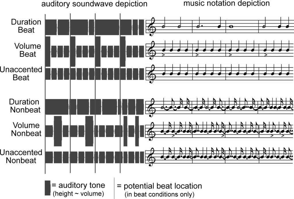 40 Annals of the New York Academy of Sciences Figure 4. Schematic depictions of the auditory stimuli used in the fmri study of different accent types.