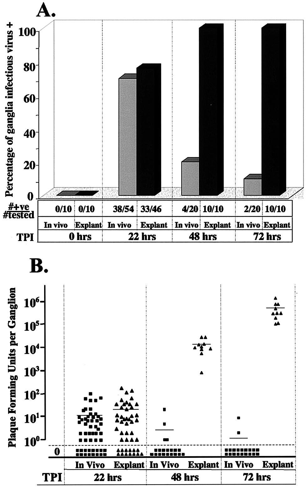VOL. 78, 2004 HSV REACTIVATION IN VIVO AND IN EXPLANTS 7789 FIG. 3. Frequencies of ganglia positive for virus and virus titers present in ganglia at various times post-reactivation stress.