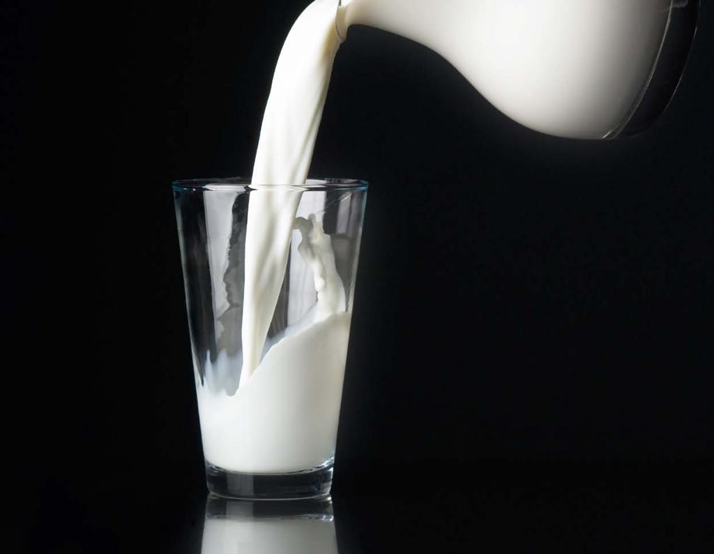 Process Stages, Systems and Equipment for the Dairy Industry