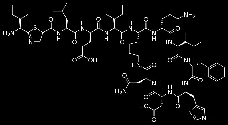 3.Non-Ribosomal Peptide (cont.