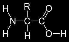 What should you know about amino acid? Catabolism? Chemical bonds? Polarity? MW? n Structures? Electric charges? Optical isomer? Elements? Chiral center?