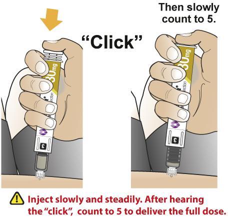 With your thumb, press the injection button slowly and steadily to inject your medicine. The slower you press the button, the less pressure you will feel.