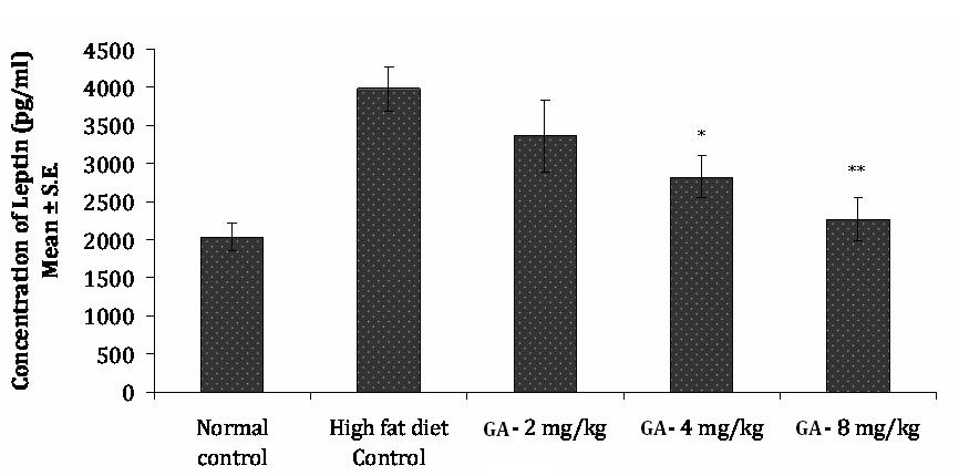 Fig. 3. The figure represents Men ody weight in grms of norml control group, high ft diet control group nd GA treted test groups = HFD Vs HFD + Test item treted (p < 0.