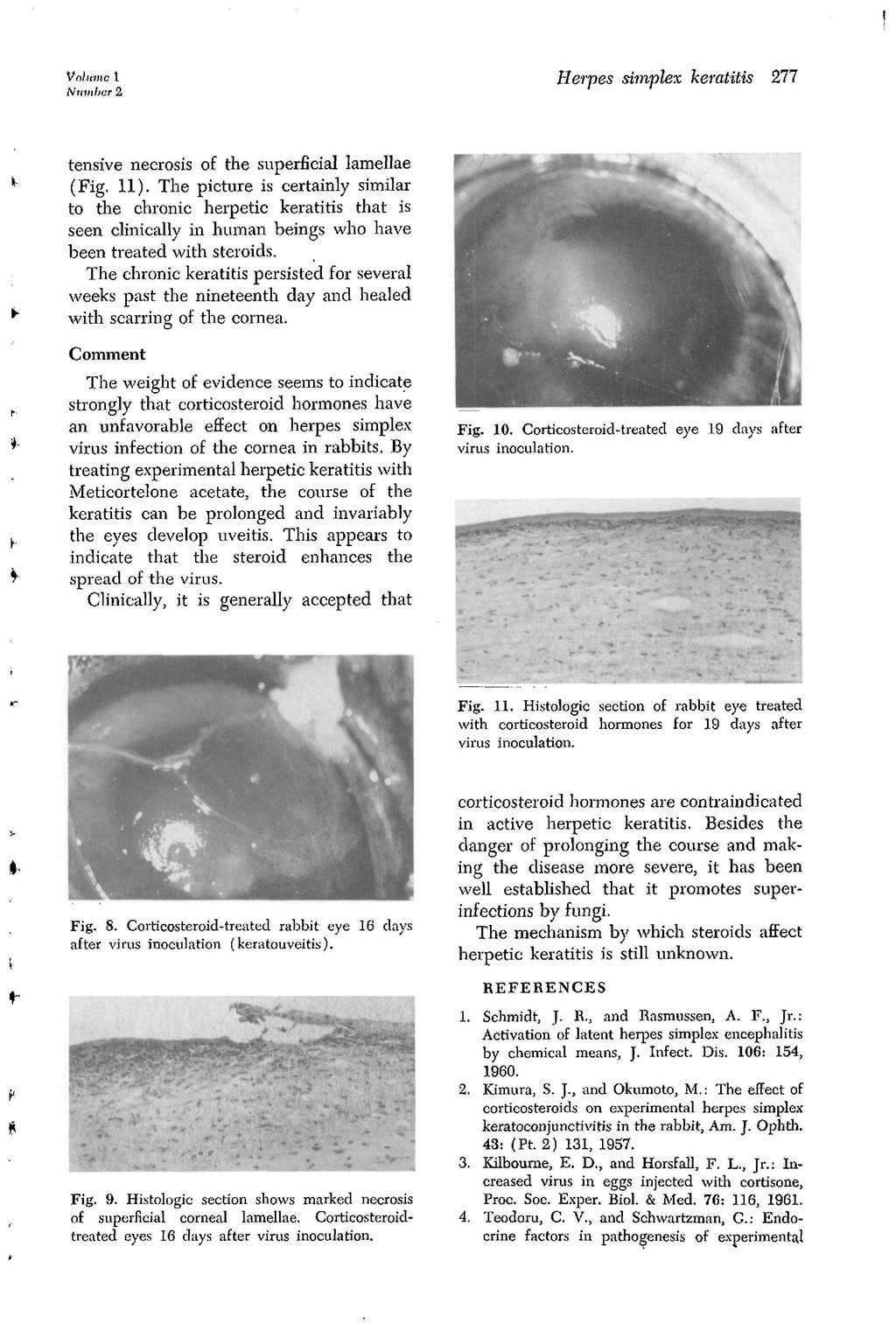 Volume 1 Number 2 Herpes simplex keratitis 277 tensive necrosis of the superficial lamellae (Fig. 11).