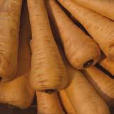 Roots Parsnips Vegetable 630 kg/m 3 High in energy, moderate in sugar, high in fibre, very low in protein. Soil contamination can be a problem.