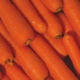 6 14.5 1.9 3.0 8.5 Carrots Vegetable 700 kg/m 3 High in energy, moderate in sugar, high in fibre, very low in protein.