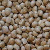 .0 4.0 Lupins Pulse Meal 350 kg/m 3 High in undegradable protein, moderate in starch, low in fibre. Can be used to replace soya bean meal.