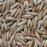 Cereals Oats Cereal Grain Whole 500 kg/m 3 Rolled 290 kg/m 3 Moderate in energy, moderate in starch, high in fibre, low in protein.