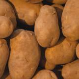 Roots Potatoes Vegetable 645 kg/m 3 High in energy, high in starch, low in fibre, low in protein.