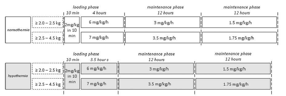 Lidocaine Proposed Dosing Algorithm After loading infusion: 5.