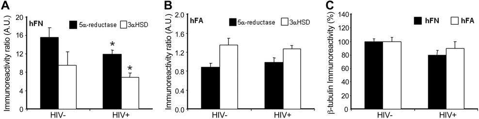 Figure 2. DHEA-S treatment of HIV cultured cells ex vivo down-regulates neurosteroid enzyme synthesis pathway enzymes in neurons.