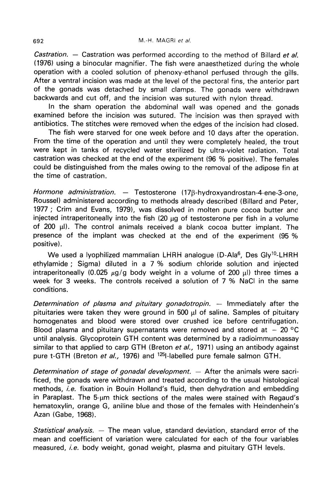 Castration. &horbar; Castration was performed according to the method of Billard et al. (1976) using a binocular magnifier.