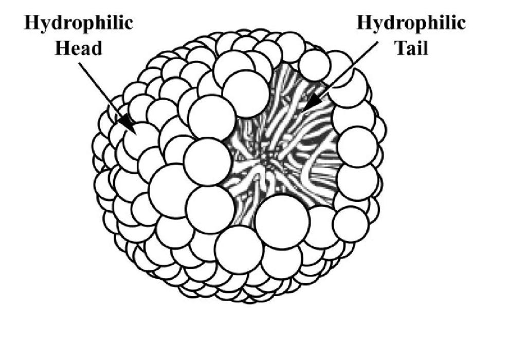 Typical surfactants found in emulsions used in fermentation are glycerol monostearates, polyoxyethylene sorbitan stearates and polyoxyethylene monostearates.