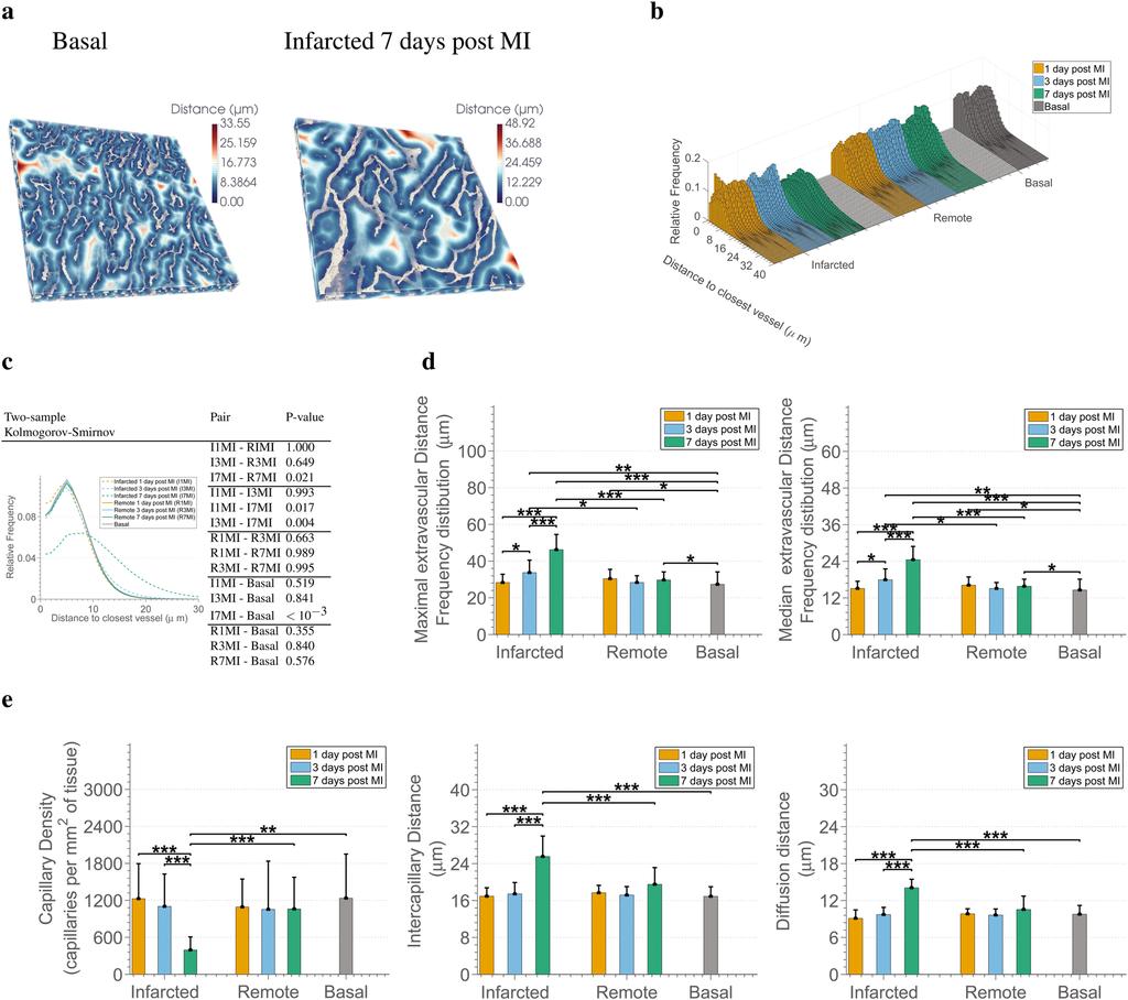 www.nature.com/scientificreports/ Figure 6. Capillary diffusion distances support altered oxygen diffusion in the infarcted cardiac tissue.