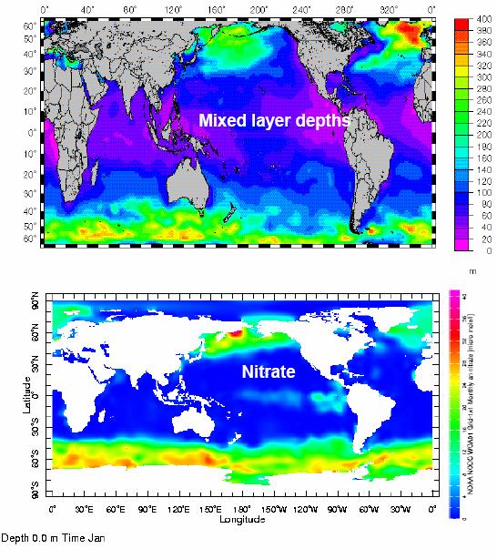 Cold temperatures and high winds often results in very deep mixing in Southern Ocean; however, the Subarctic North Pacific and Equatorial Pacific typically do not mix as deep (<120 m) as other