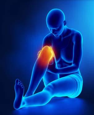 There are two types of cartilage in the knee, articular cartilage and meniscus cartilage.