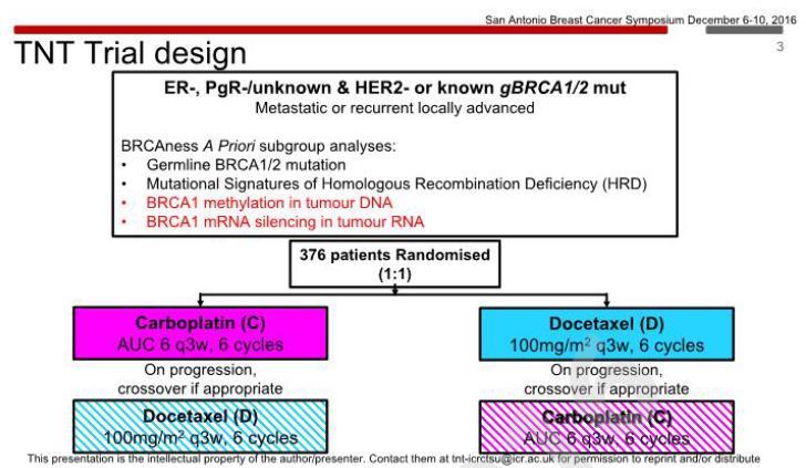 S6-01 BRCA1 methylation status,